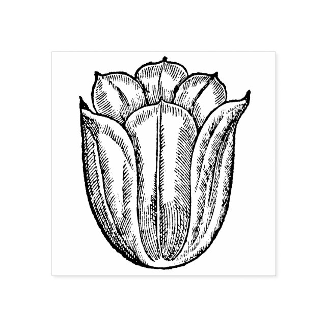 Carimbo De Borracha Tulip Fllower Red Floral Holanda (Impressão)