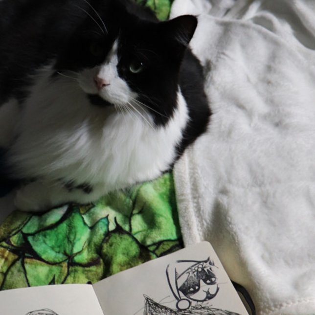 Carimbo De Borracha Tuxedo Cat Feliz Natal (Criador carregado)