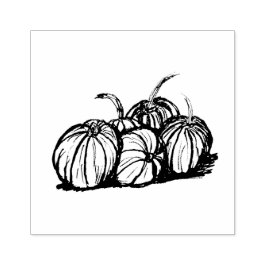 Carimbo De Borracha Vida Estática Da Abóbora, Desenho Original