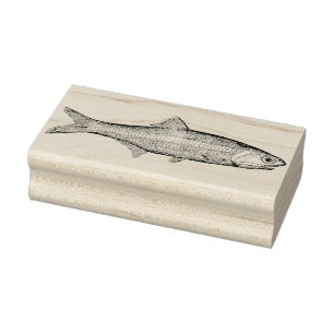 Carimbo De Borracha Vintage Anchovy Fish Rubber Art Stamp