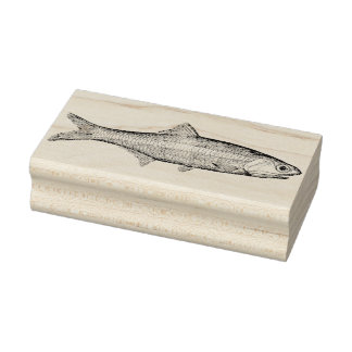 Carimbo De Borracha Vintage Anchovy Fish Rubber Art Stamp