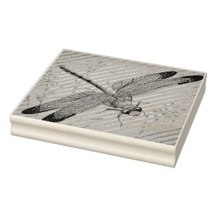 Carimbo De Borracha Vintage Dragonfly No. 3 e Grass Watercolor Art