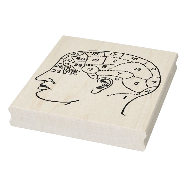 Carimbo De Borracha Vintage Phrenology Head Rubber Art Stamp (Carimbo)