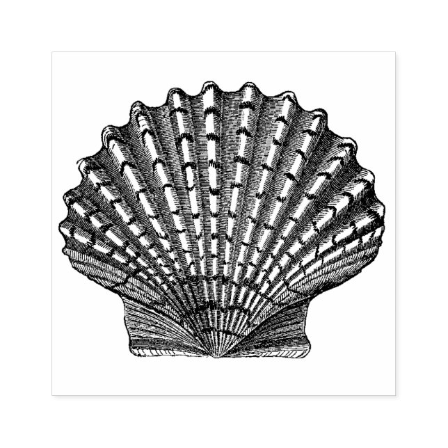 Carimbo De Borracha Vintage Seashell (Impressão)
