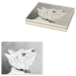 Carimbo De Borracha Westin Procurando Perfil B