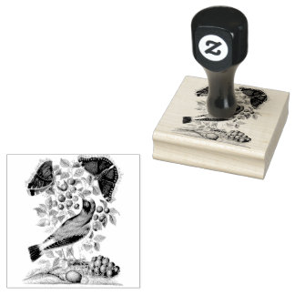 Carimbo De Borracha Wheatear Bilberry Camberwell Birds Scrapbooking