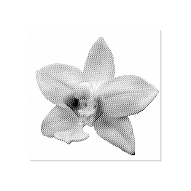 Carimbo De Borracha Wild Orchid Purple Tropical Flower (Impressão)