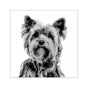 Carimbo De Borracha Yorkshire Terrier