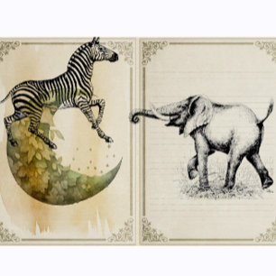 Carimbo De Borracha Zebra Vintage Safari Animal