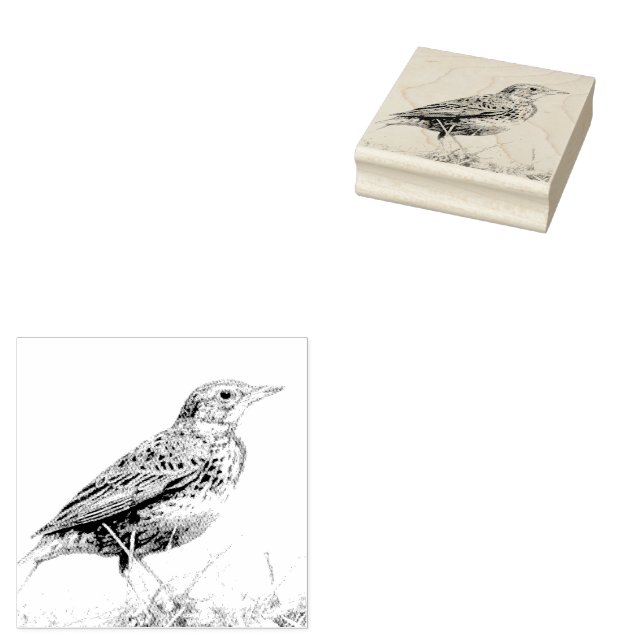 Carimbo de Cartaz Red Meadowlark (Carimbado)