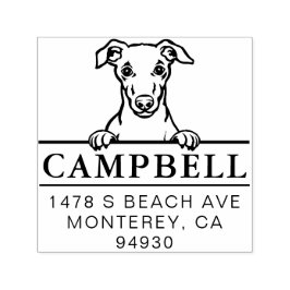 Carimbo de Endereço de Cão Personalizado de Cubo