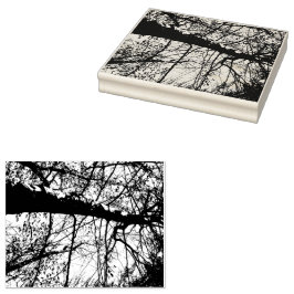 Carimbo de Foto em Árvore