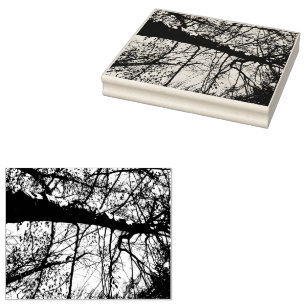 Carimbo de Foto em Árvore