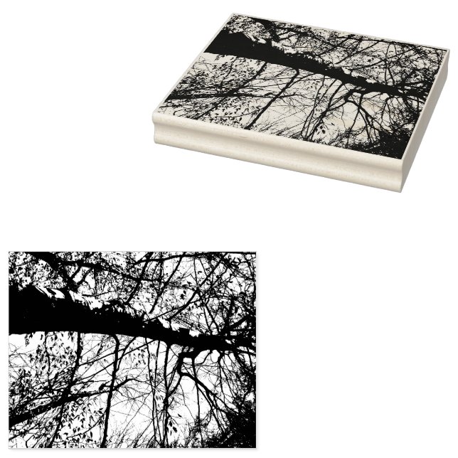 Carimbo de Foto em Árvore (Carimbado)