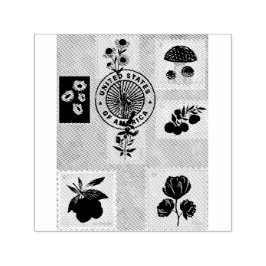 Carimbos da Natureza para Cada Ocasião - Bela