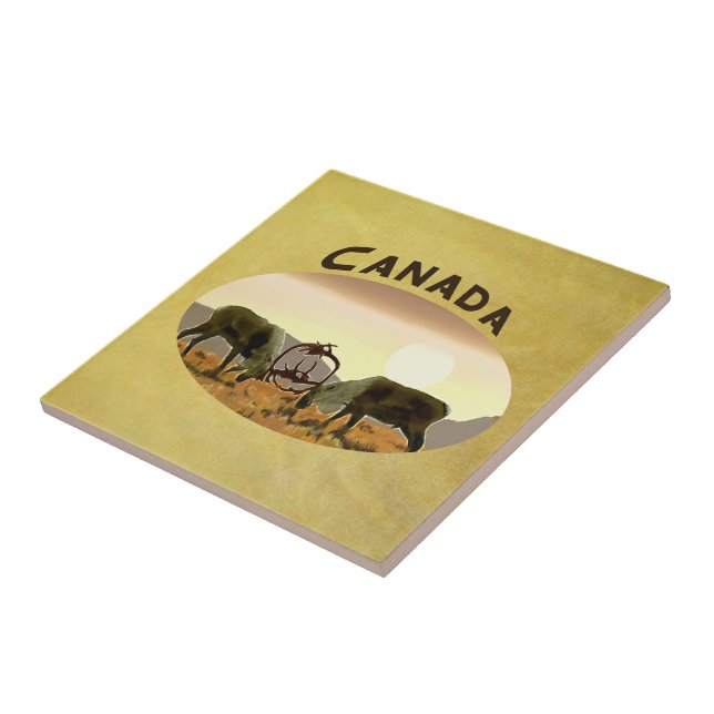 Cariou Duel - Canadá (Lateral)