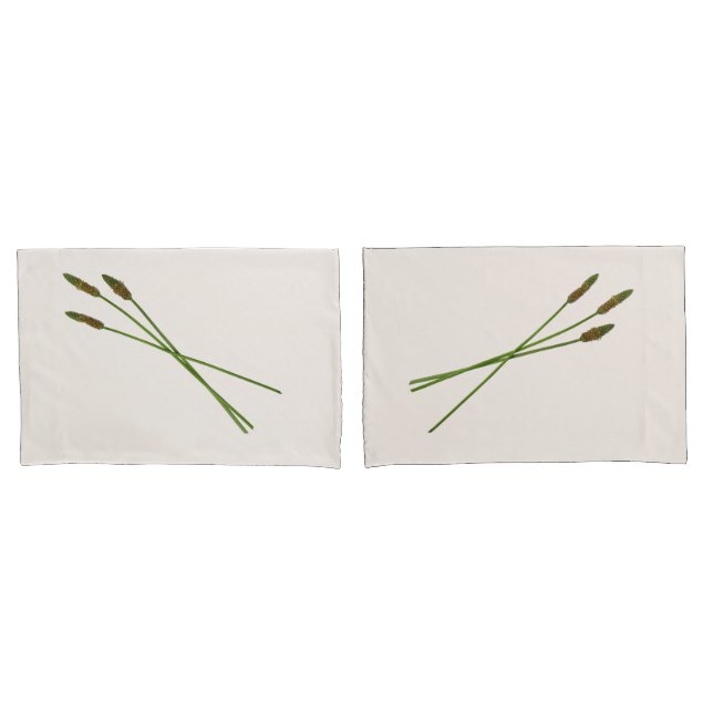 Carl Doddy (Frente - conjunto)