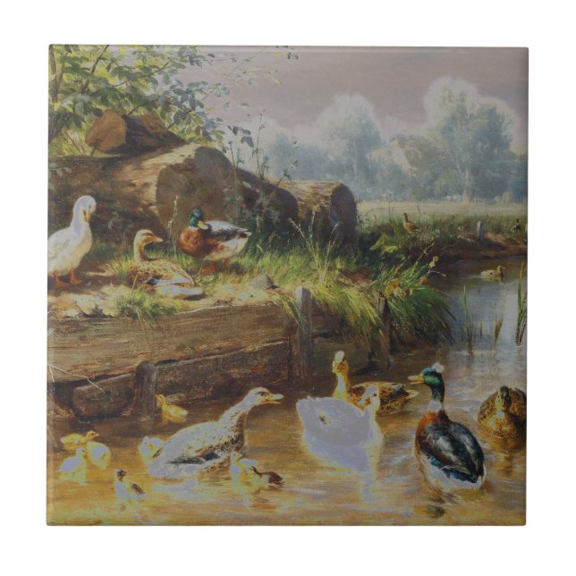 Carl Jutz - patos no ribeiro (alterado) (Frente)
