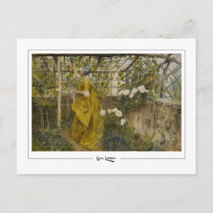 Carl Larsson #409 - Cartão postal de arte fina