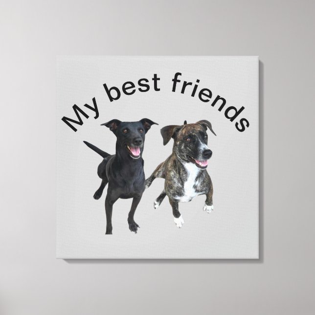 Carlos dog Canvas Print (Frente)