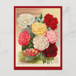 Carnações Vintage Seed Packet Art em Cartões