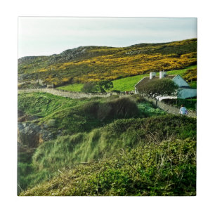 Carneiros em Ireland