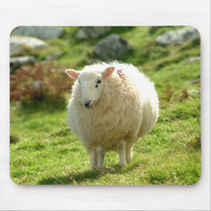 Carneiros Mousepad de Ireland
