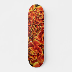 Carnês Skateboard