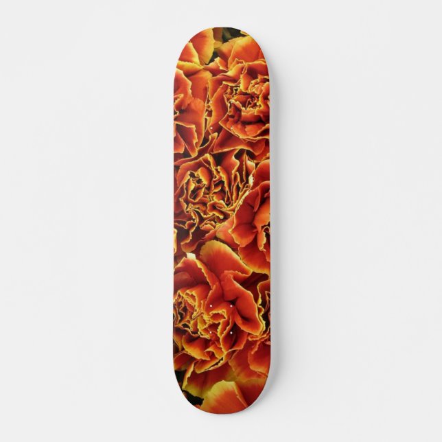 Carnês Skateboard (Frente)