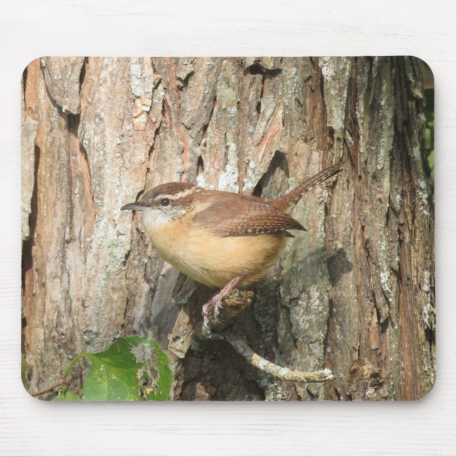 Carolina Wren Mouse Pad (Frente)