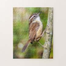 Carolina Wren Quebra-cabeça