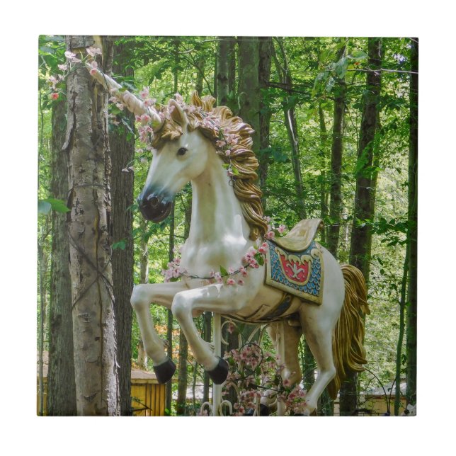 Carousel Unicorn (Frente)
