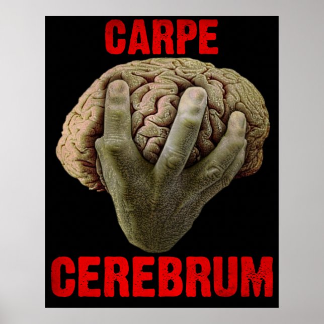 "CARPE CEREBRUM" poster (Frente)