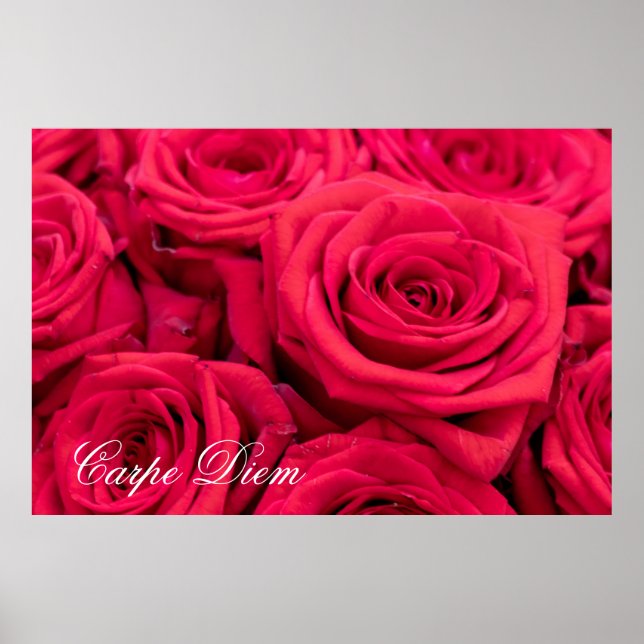 Carpe Diem Personalizável com rosa vermelha Poster (Frente)