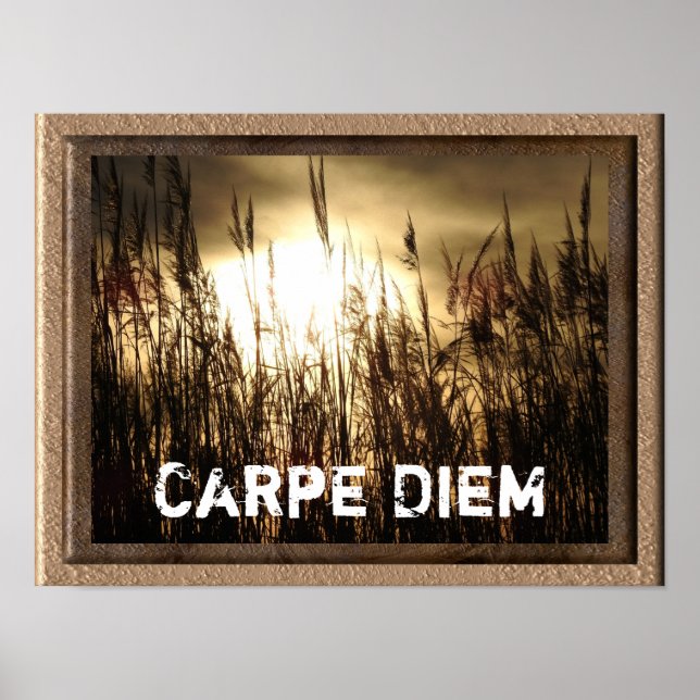 Carpe Diem - poster de arte (Frente)
