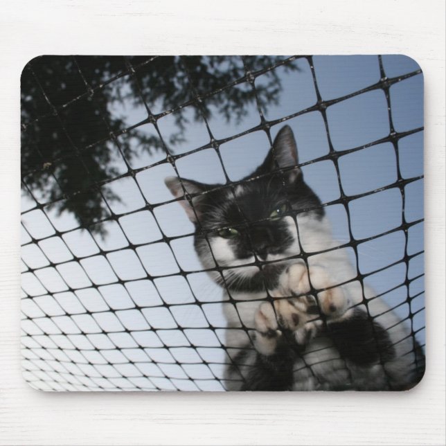 Carregue o gato no por do sol Mousepad (Frente)