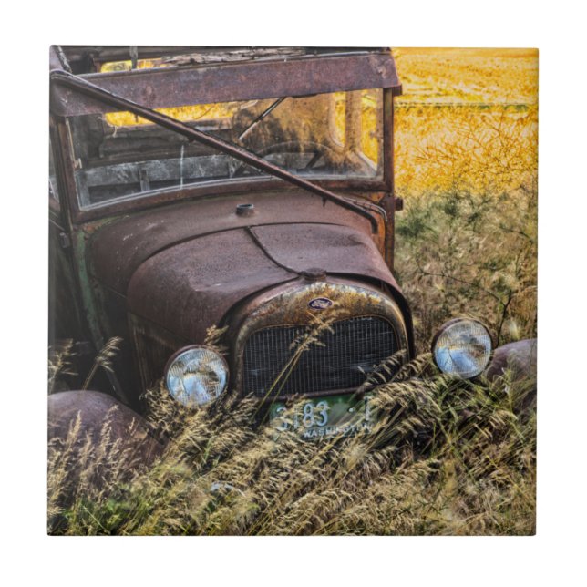 Carro velho abandonado em grama alta (Frente)