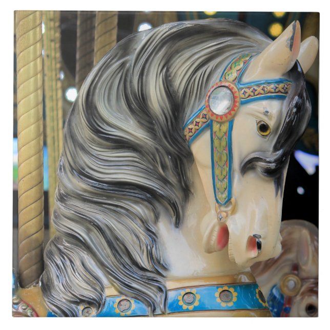 Carrossel 1 (Frente)