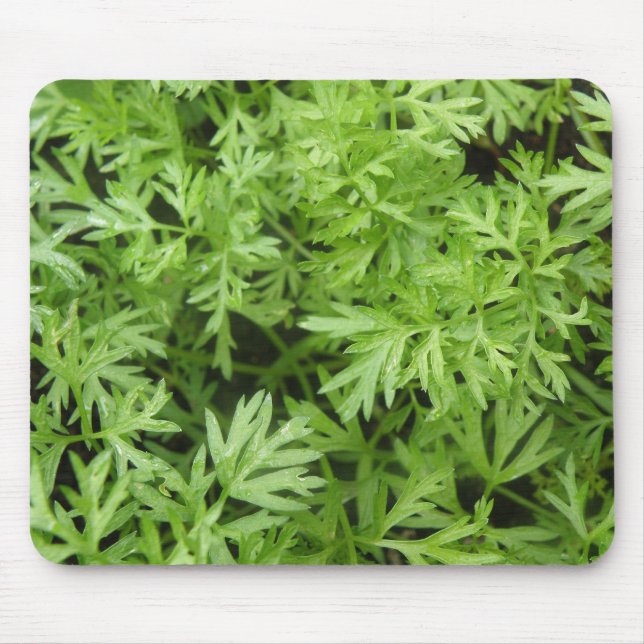 Carrot Tops Mousepad (Frente)