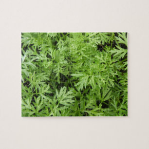 Carrot Tops Quebra-cabeça