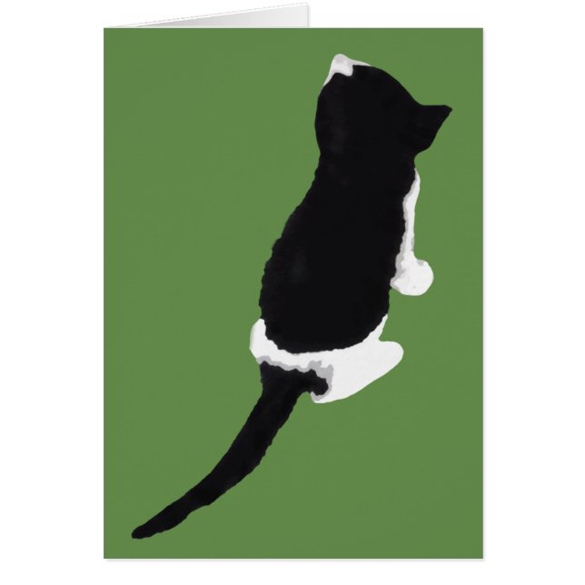 Cartão Μυξα/Myxa (um gatinho de Zakynthos) (Frente)