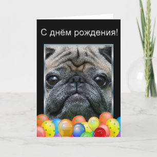 Cartão С днём рождени Happy Birthday Pug Dog card