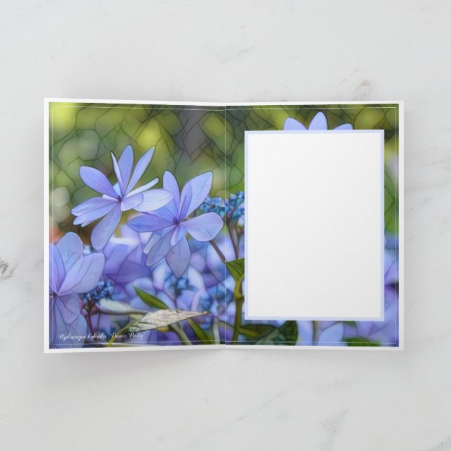 CARTÃO ア ジ イ [花] (Interior)