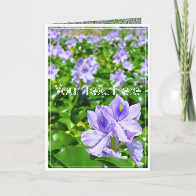 CARTÃO ホテイアオイ (Frente)