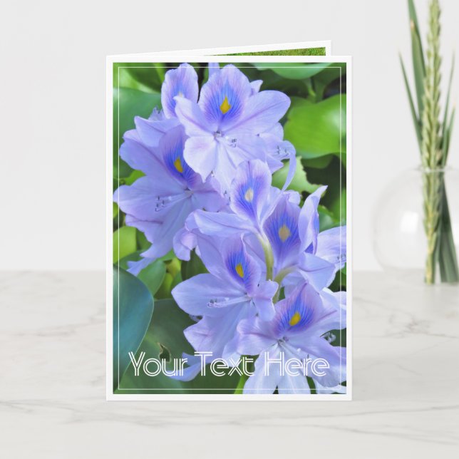 CARTÃO ホテイアオイ (Frente)