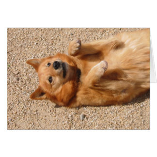 Cartão 0006Tapete de cobre