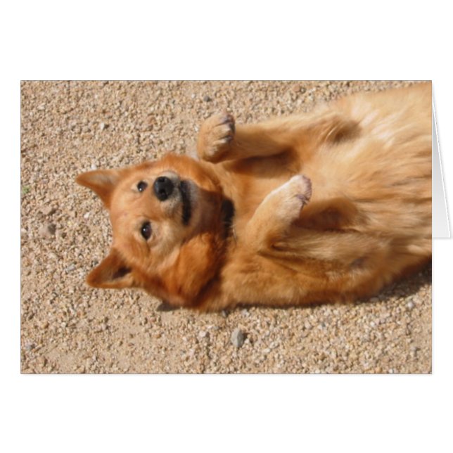 Cartão 0006Tapete de cobre (Frente Horizontal)