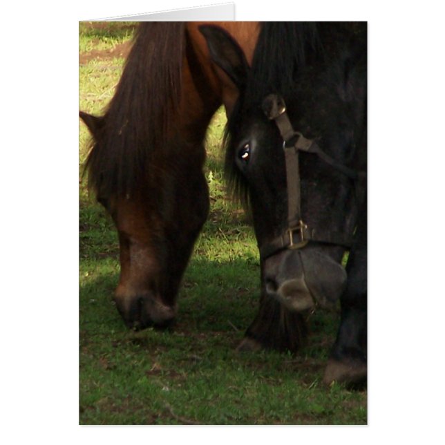 CARTÃO 000_0366 (Frente)