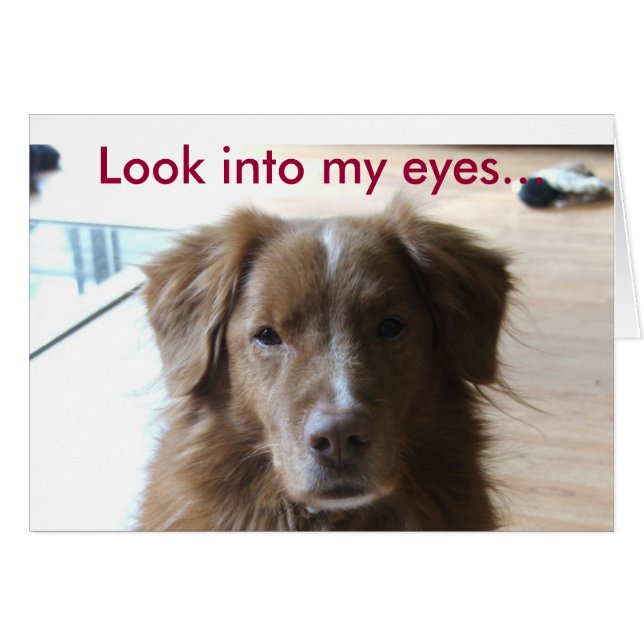 Cartão 0029, olhe nos meus olhos... (Frente Horizontal)