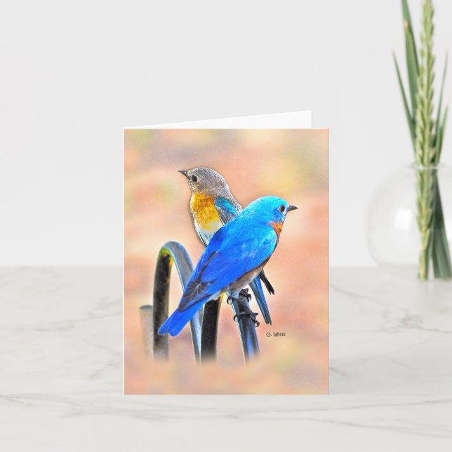 Cartão 010 Bluebird Love Note Card 4.25x5.5 Matte (Frente)